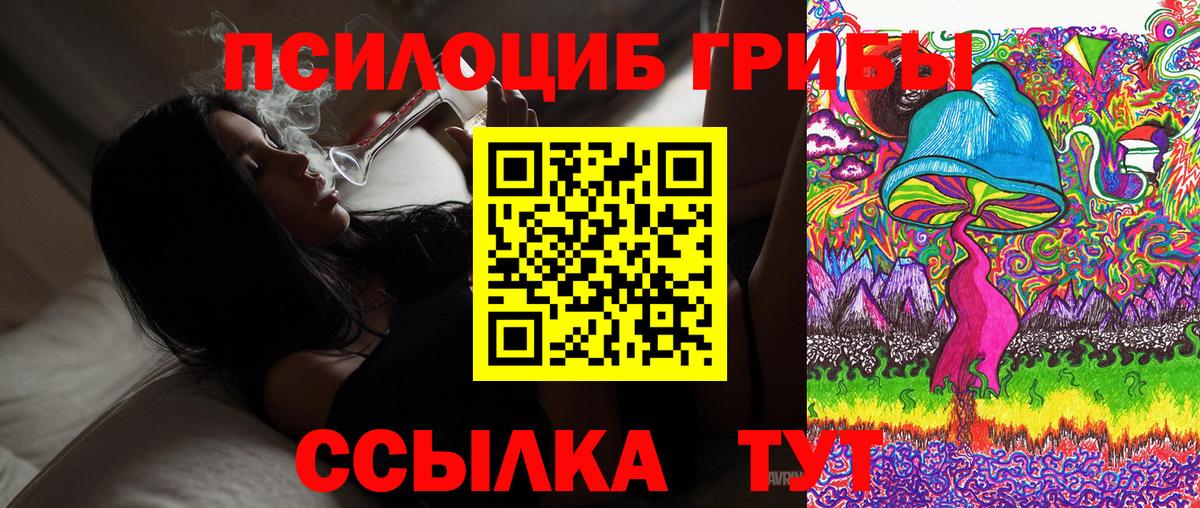 Галлюциногенные грибы мицелий  Вход с VPN  Псилоцибиновые грибы прущие грибы  Тольятти 