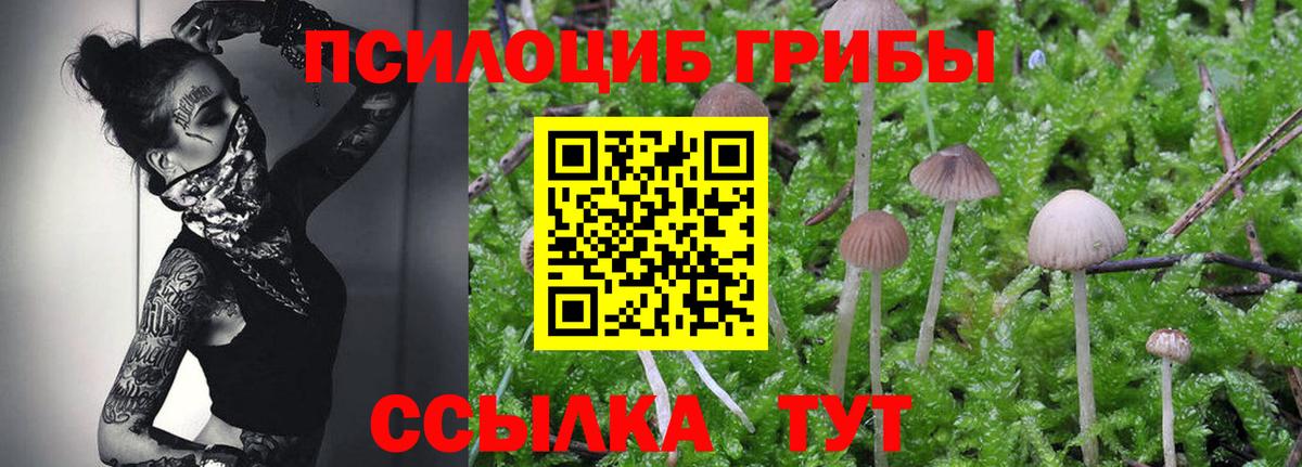 Галлюциногенные грибы MAGIC MUSHROOMS Тольятти